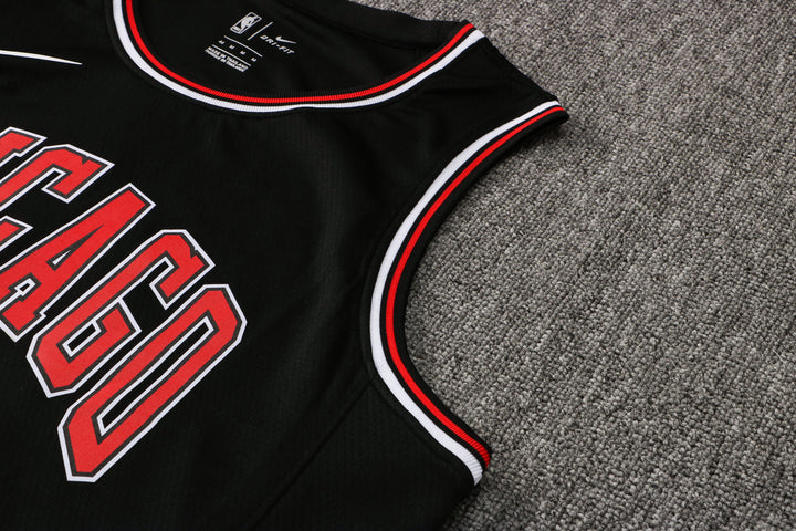 CAMISETA JORDAN CHICAGO BULLS