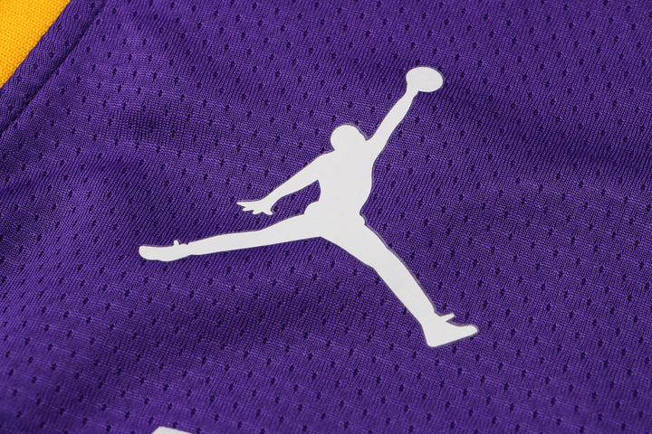 CAMISETA JAMES LAKERS