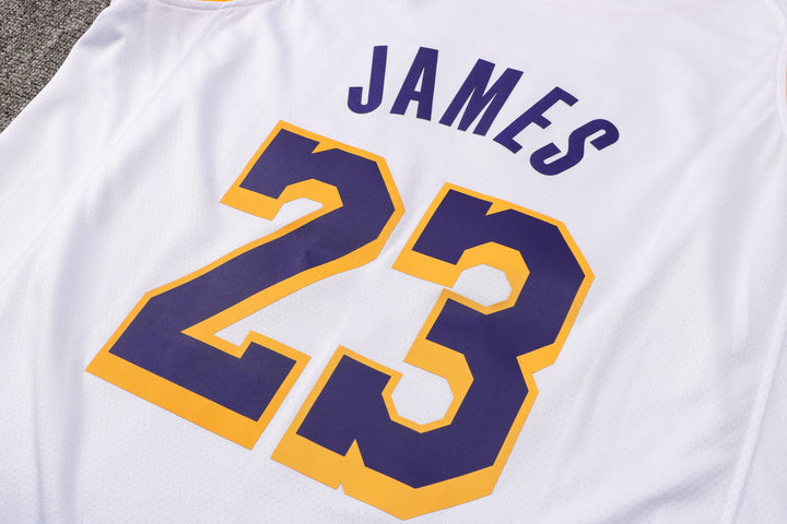 CAMISETA JAMES LAKERS