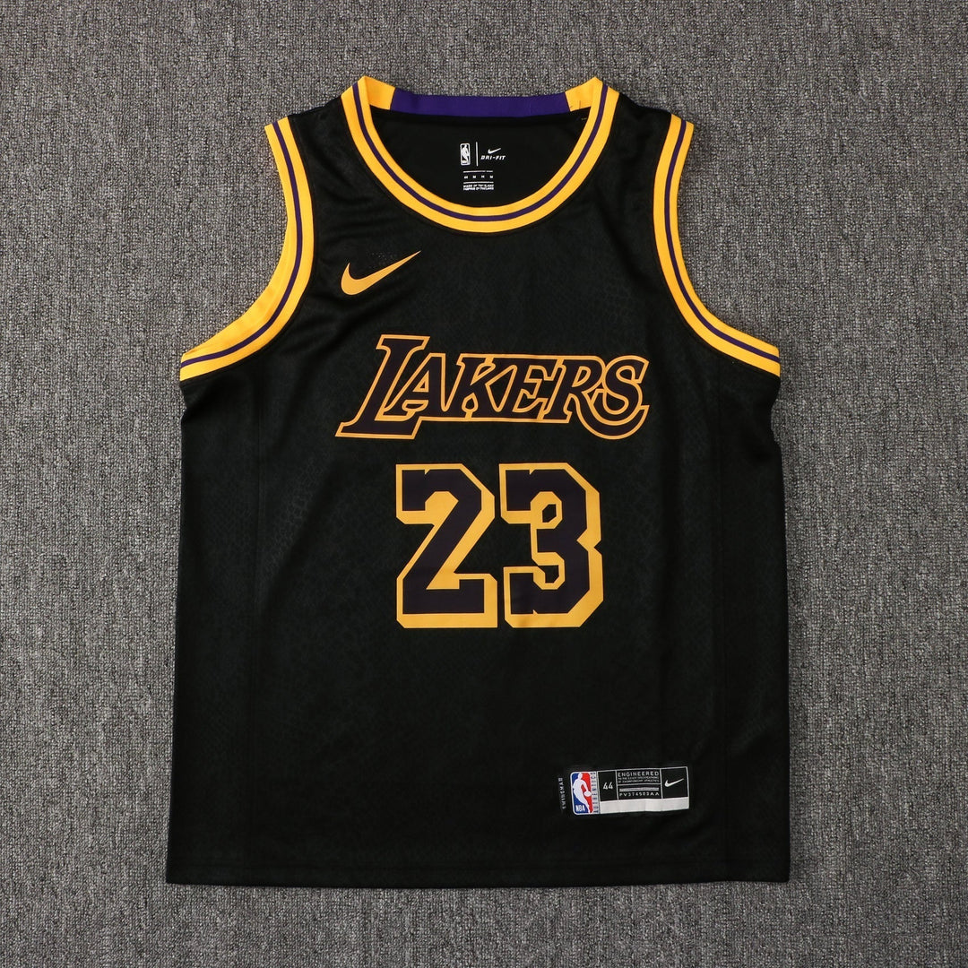 CAMISETA JAMES LAKERS