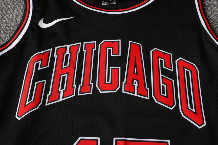 CAMISETA JORDAN CHICAGO BULLS