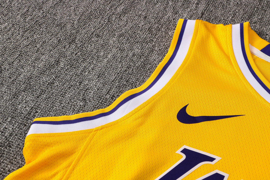 CAMISETA JAMES LAKERS