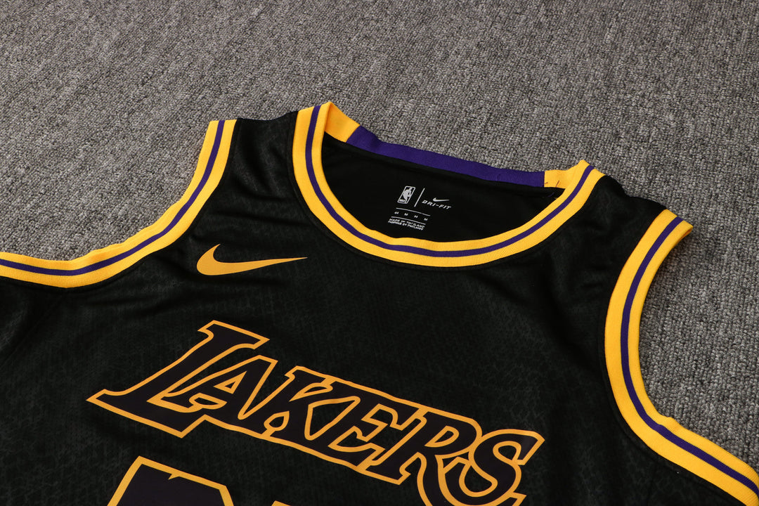 CAMISETA JAMES LAKERS