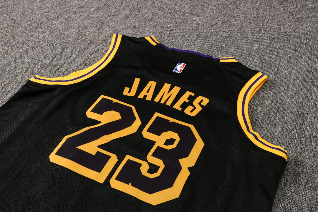 CAMISETA JAMES LAKERS