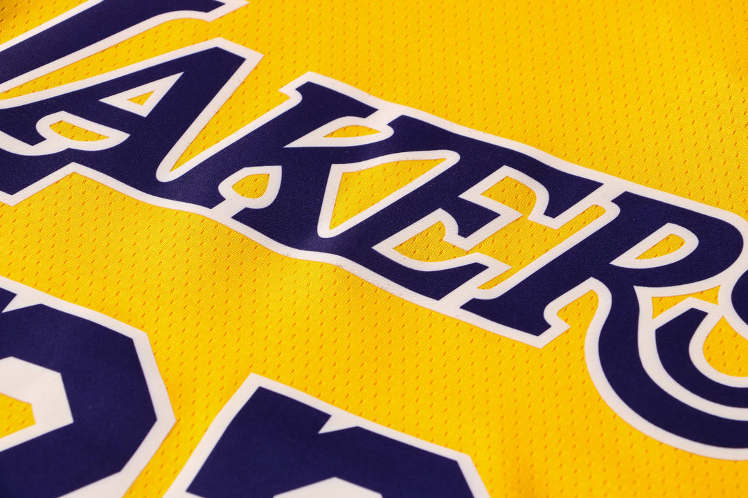 CAMISETA JAMES LAKERS