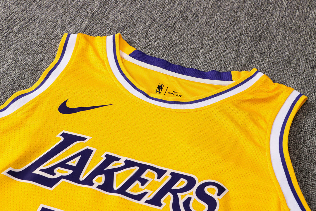 CAMISETA JAMES LAKERS