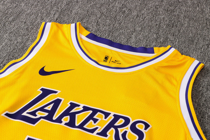 CAMISETA JAMES LAKERS