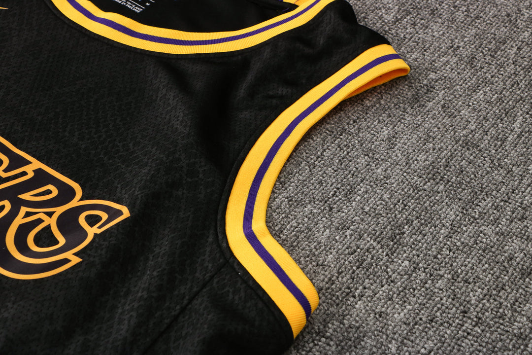 CAMISETA JAMES LAKERS