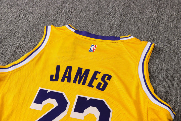 CAMISETA JAMES LAKERS