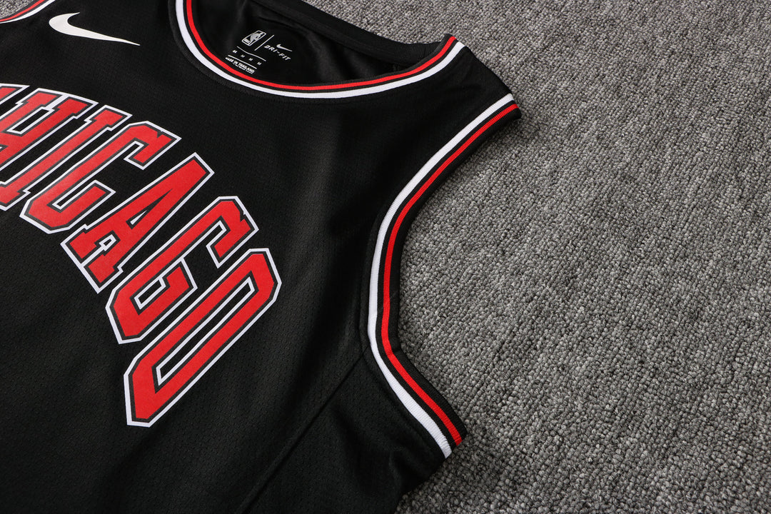 CAMISETA ROSE CHICAGO BULLS