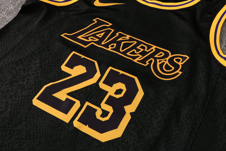 CAMISETA JAMES LAKERS