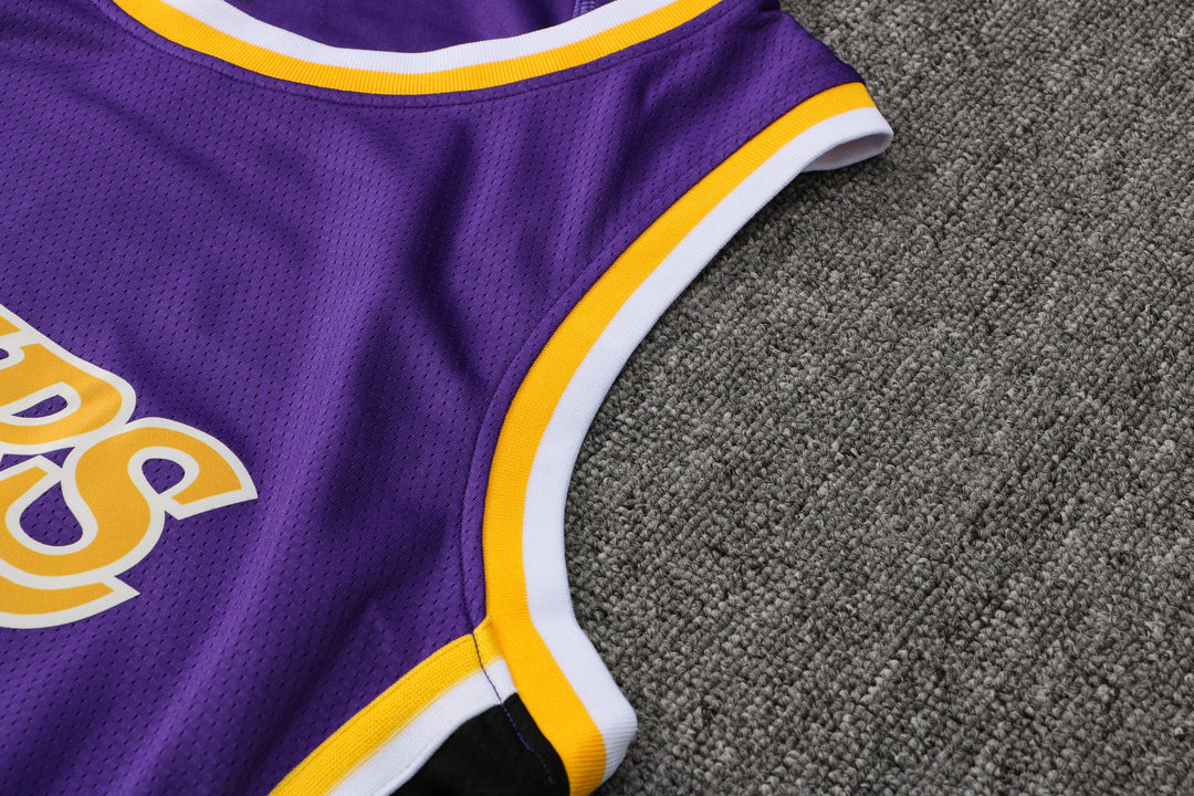 CAMISETA JAMES LAKERS