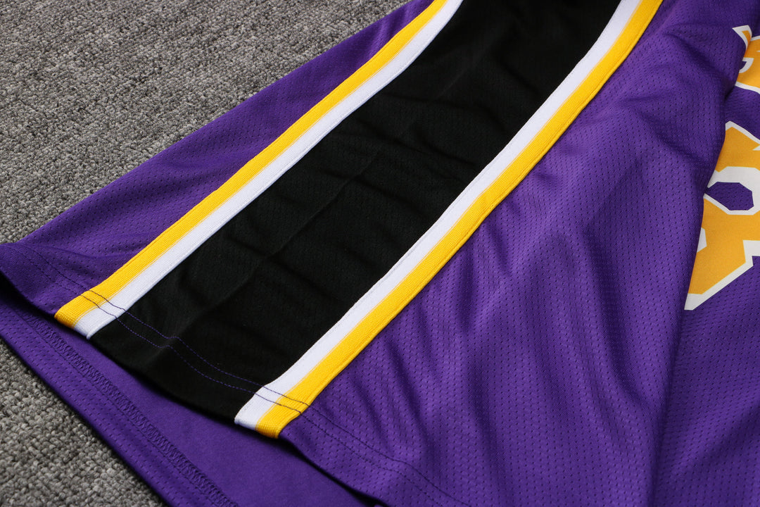 CAMISETA JAMES LAKERS