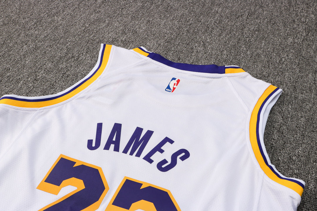 CAMISETA JAMES LAKERS